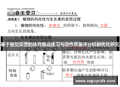 基于视觉反馈的体育跳远练习与动作质量评分机制优化研究